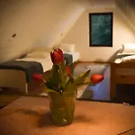 Haemsa Maheresto & Heaolukeskus 3* Võru