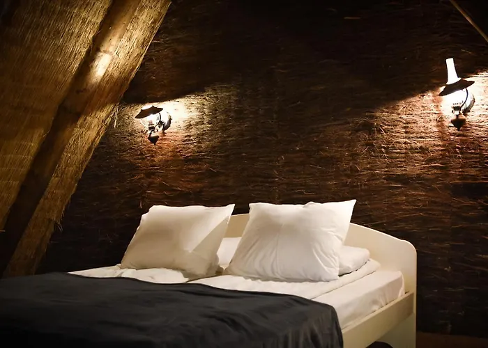 Haemsa Maheresto & Heaolukeskus 4* Võru