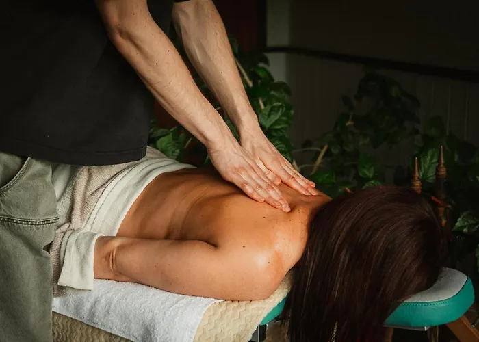 Gasthuis Haemsa Maheresto & Heaolukeskus 4*