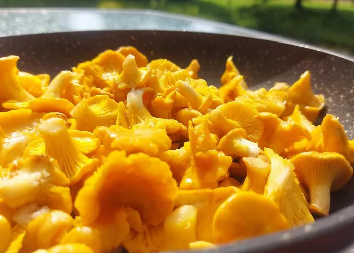 Haemsa Maheresto & Heaolukeskus