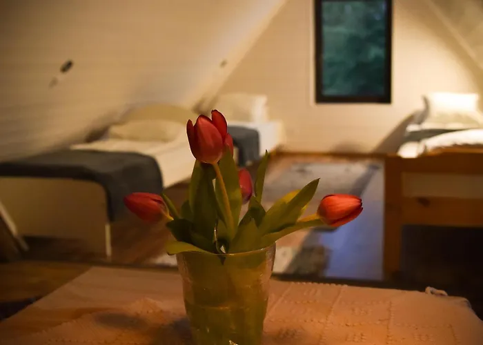 Haemsa Maheresto & Heaolukeskus 4* Võru