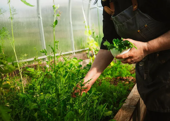 Haemsa Maheresto & Heaolukeskus Võru